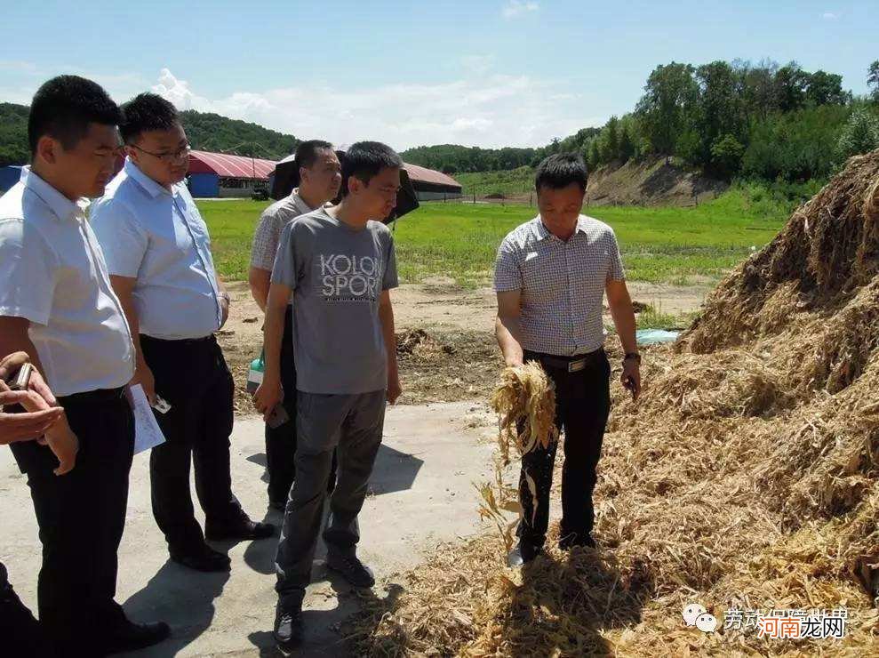 谯城区返乡创业扶持政策 谯城区返乡创业扶持政策文件