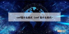 swf 是什么格式 swf是什么格式