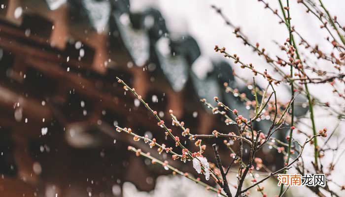 北京哪里可以看桃花 北京桃花什么时候开放