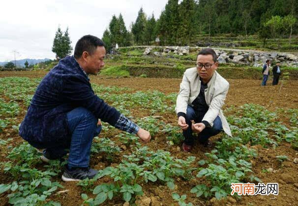 克山扶持的种植创业项目 克山扶持的种植创业项目有哪些