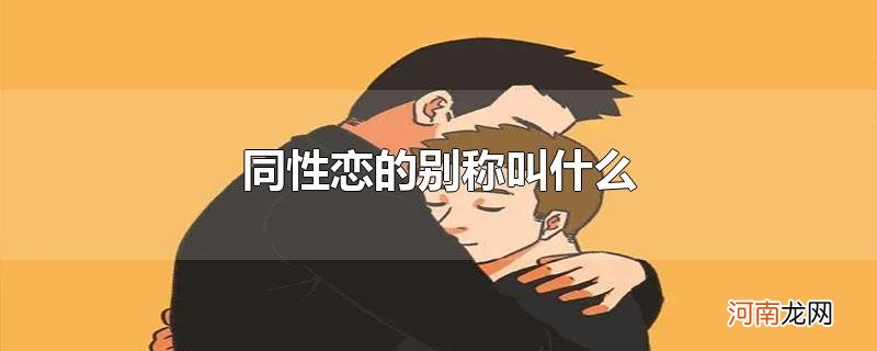 同性恋的别称叫什么