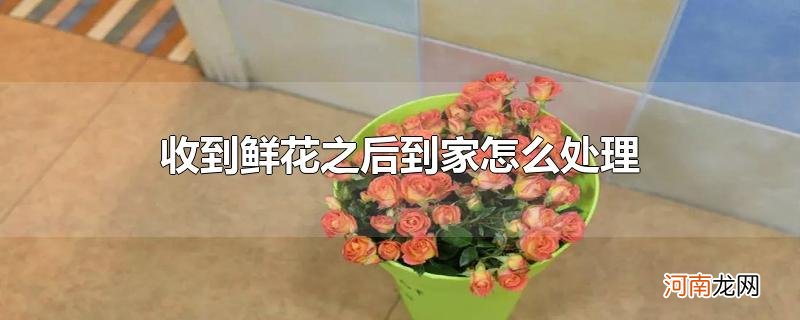 收到鲜花之后到家怎么处理