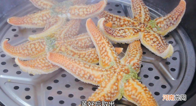 海星的吃法步骤讲解 海星可以吃吗怎么吃