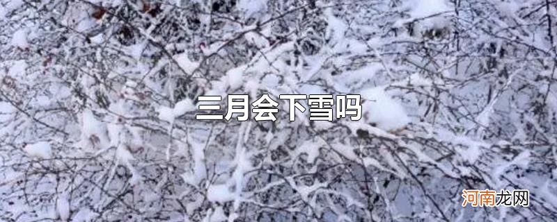 三月会下雪吗