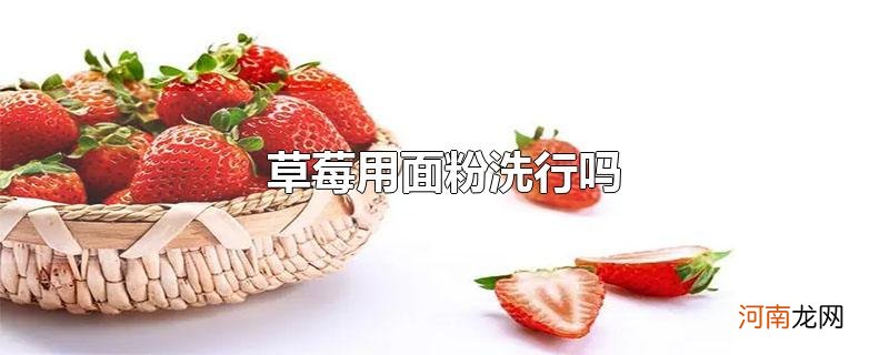 草莓用面粉洗行吗