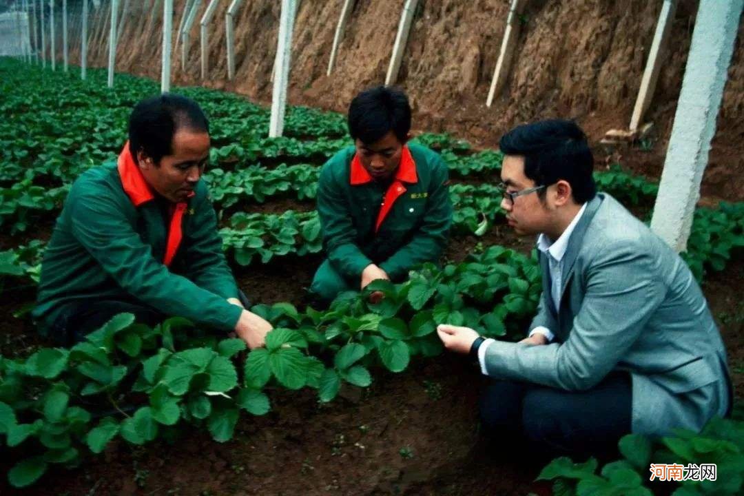 河南农业创业扶持 河南农村创业项目大全
