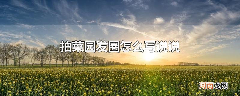 拍菜园发圈怎么写说说