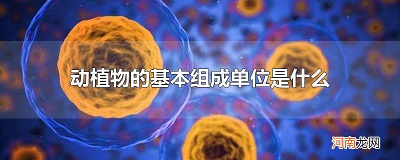 动植物的基本组成单位是什么