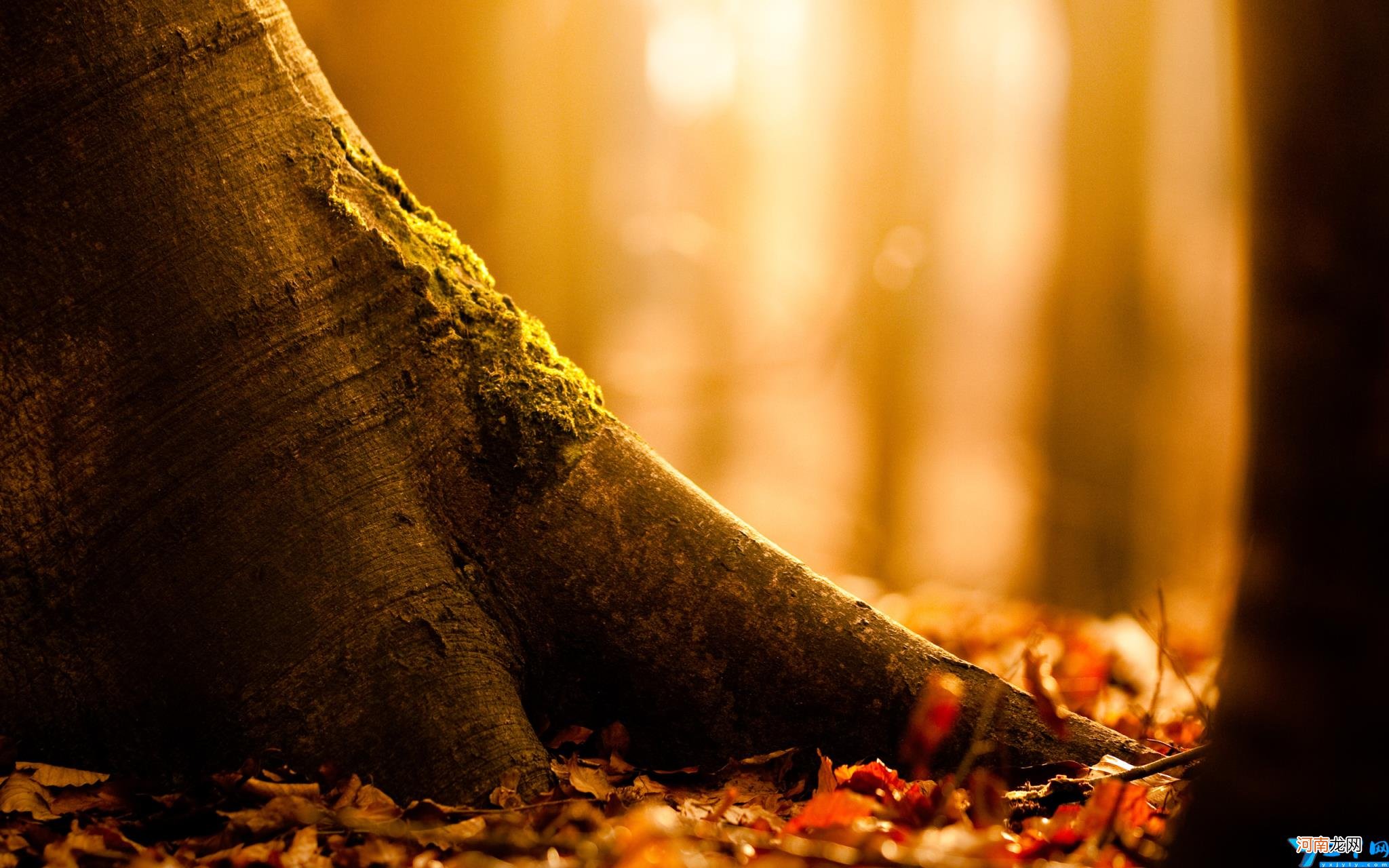 教育工作调研报告 教育工作调研汇报材料