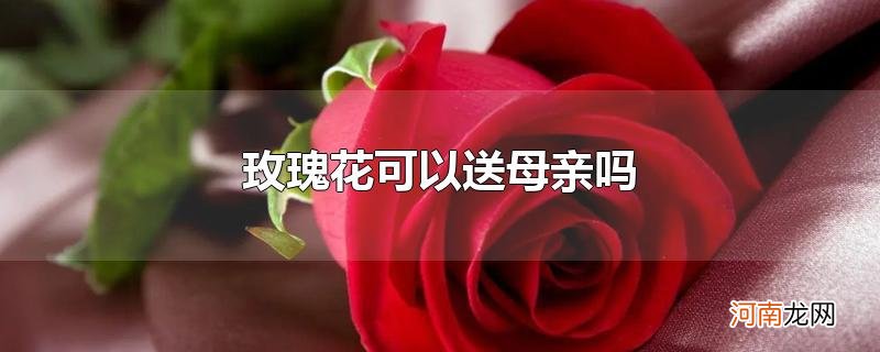 玫瑰花可以送母亲吗