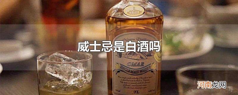 威士忌是白酒吗