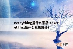 everything是什么意思英语 everything是什么意思