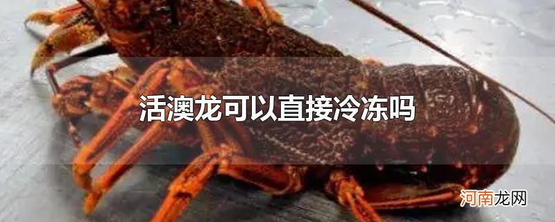 活澳龙可以直接冷冻吗