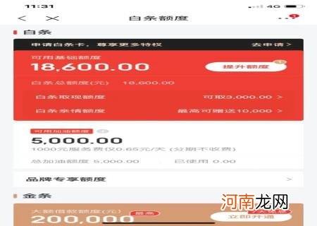 京东白条1000一天利息多少 京东白条利息多少钱一天借了一万