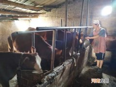 扶持青年创业养牛企业 农村创业养牛国家有无扶持的项目
