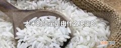 大米的质量是由什么决定的