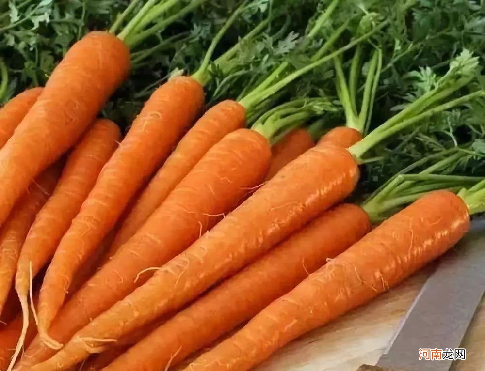 白萝卜生吃有什么好处和坏处 胡萝卜和白萝卜能一起吃吗