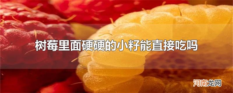 树莓里面硬硬的小籽能直接吃吗