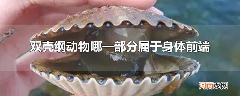 双壳纲动物哪一部分属于身体前端