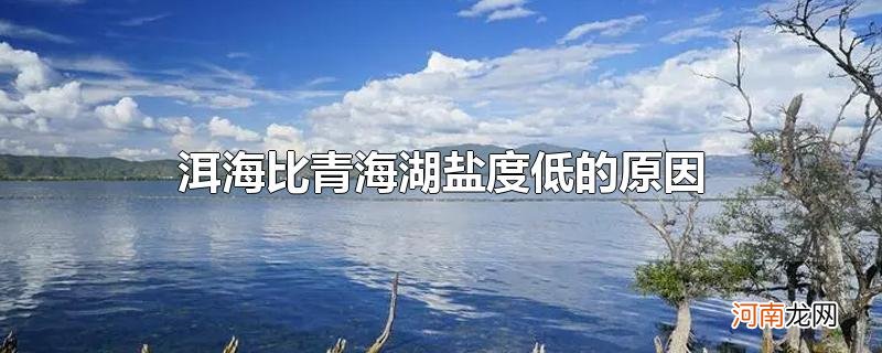 洱海比青海湖盐度低的原因