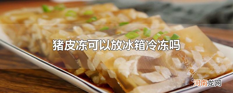 猪皮冻可以放冰箱冷冻吗