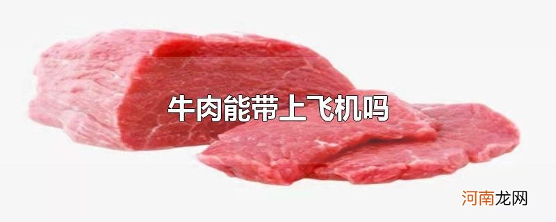 牛肉能带上飞机吗