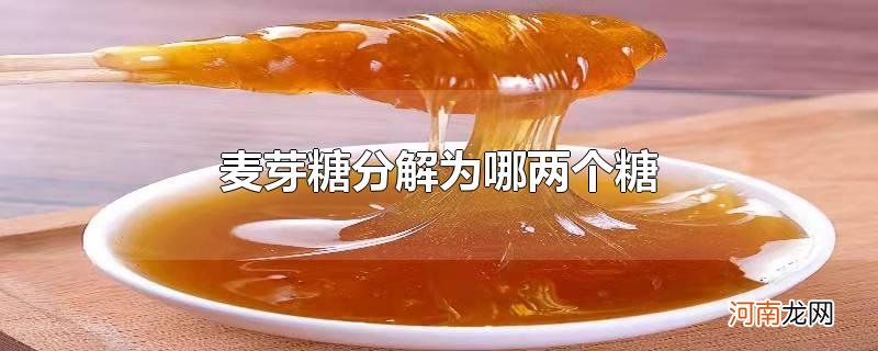 麦芽糖分解为哪两个糖