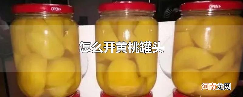 怎么开黄桃罐头