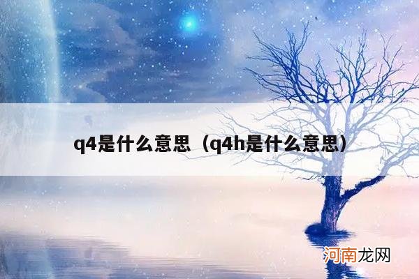 q4h是什么意思 q4是什么意思