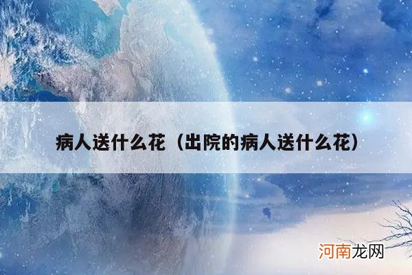 出院的病人送什么花 病人送什么花