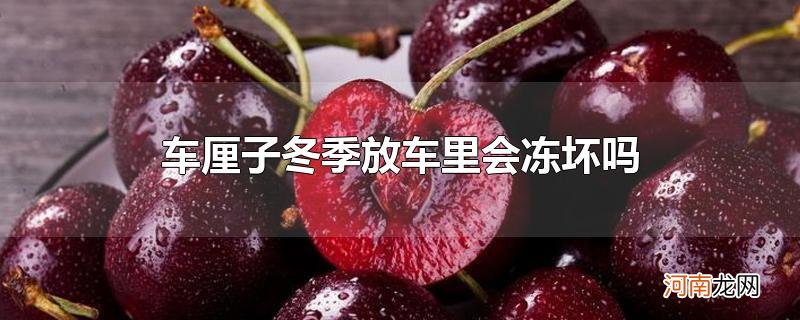 车厘子冬季放车里会冻坏吗