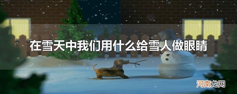 在雪天中我们用什么给雪人做眼睛