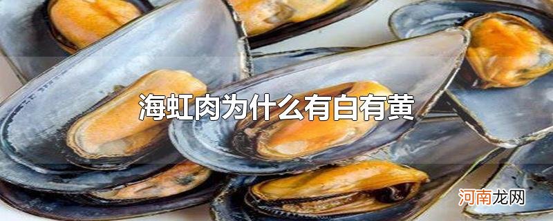 海虹肉为什么有白有黄