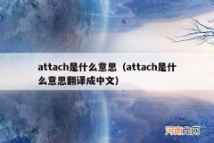attach是什么意思翻译成中文 attach是什么意思