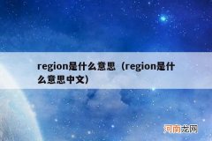 region是什么意思中文 region是什么意思