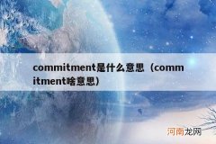 commitment啥意思 commitment是什么意思