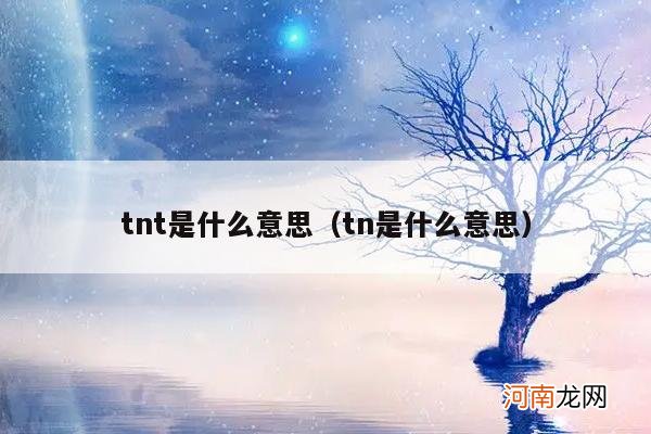 tn是什么意思 tnt是什么意思