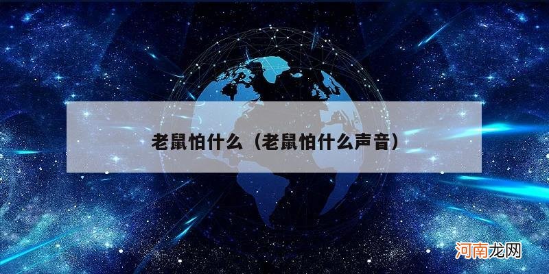 老鼠怕什么声音 老鼠怕什么