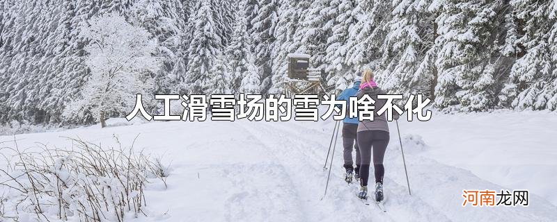 人工滑雪场的雪为啥不化