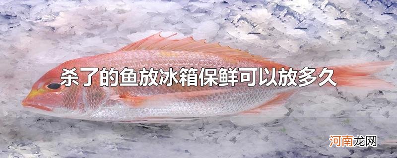 杀了的鱼放冰箱保鲜可以放多久