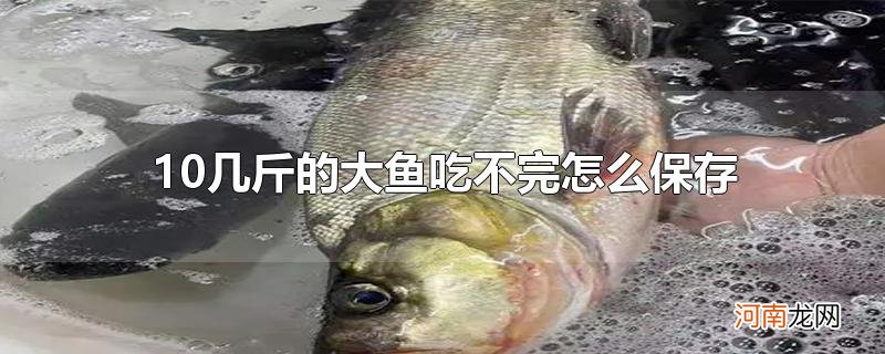 10几斤的大鱼吃不完怎么保存