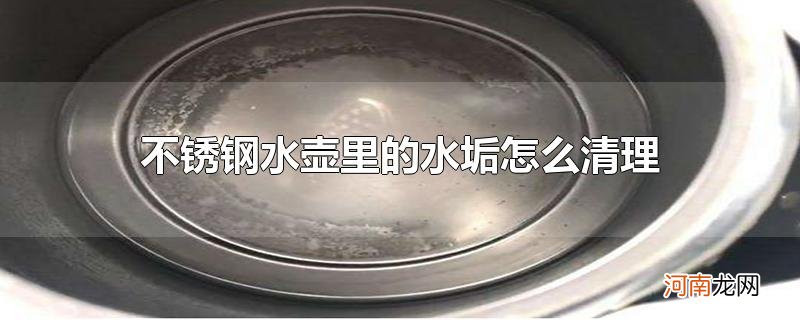 不锈钢水壶里的水垢怎么清理