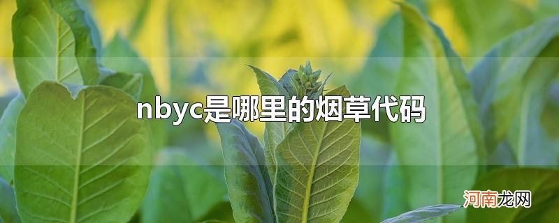 nbyc是哪里的烟草代码