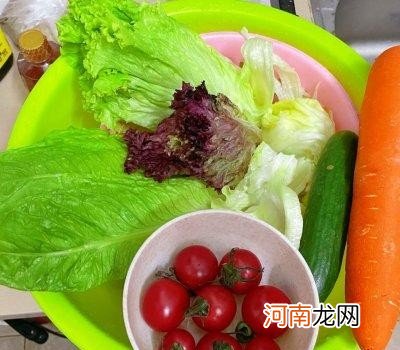 在家怎么做出美味的蔬菜沙拉 蔬菜沙拉做法步骤介绍