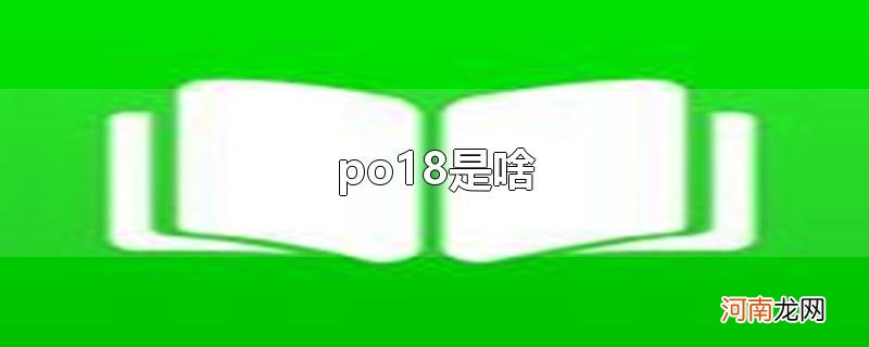 po18是啥