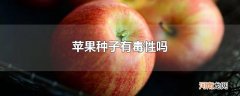 苹果种子有毒性吗