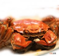 在家怎么做出正宗的炒湖蟹 炒湖蟹是哪里的菜做法步骤