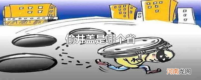 偷井盖是哪个省