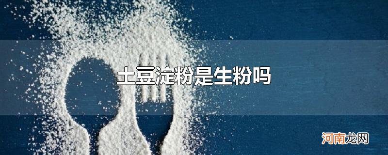 土豆淀粉是生粉吗