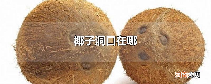 椰子洞口在哪